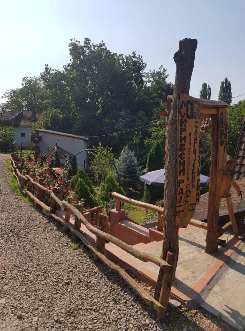 Apartmán Skriveni Raj Vrdnik Exteriér fotografie