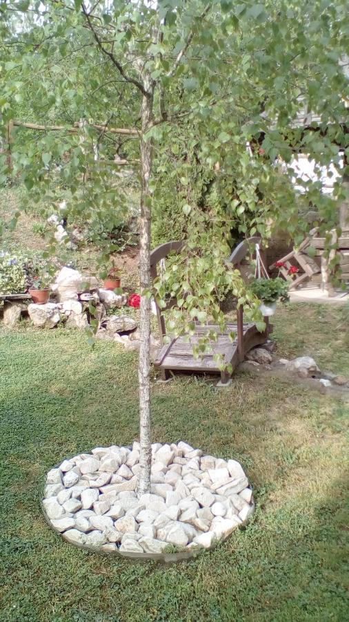 Apartmán Skriveni Raj Vrdnik Exteriér fotografie